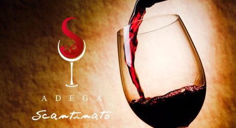 identidade-visual-adega
