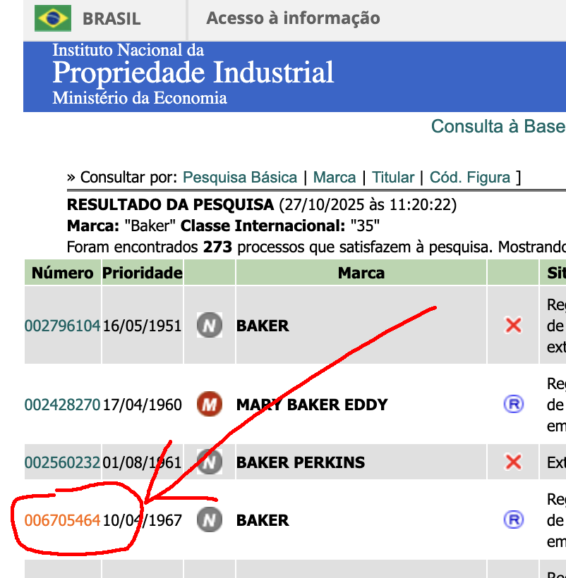 Tela da consulta do INPI - área de detalhes